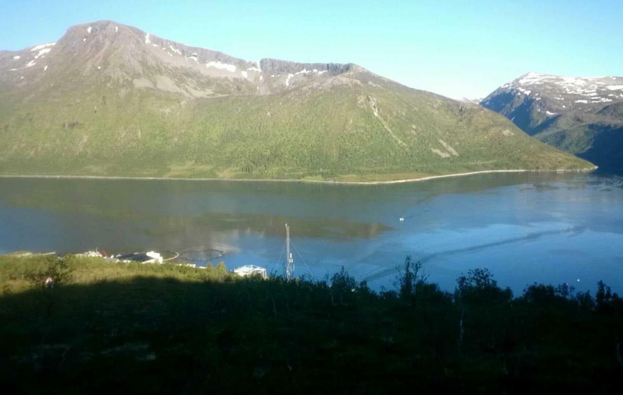 Hus Retro Lägenhet Gryllefjord Exteriör bild